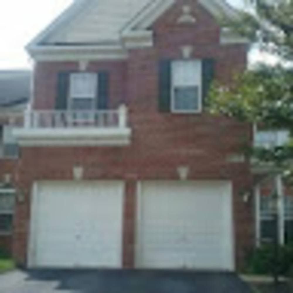 Meet your Posher, Samson